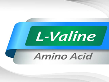 What Is L-Valine Used For